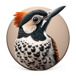 Icon of a woodpecker